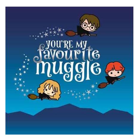 Harry Potter You're My Favourite Muggle Birthday Card £1.99